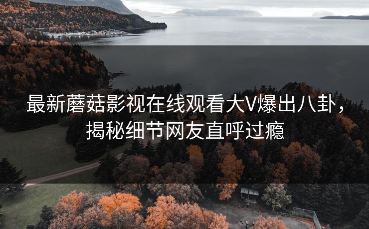 最新蘑菇影视在线观看大V爆出八卦，揭秘细节网友直呼过瘾