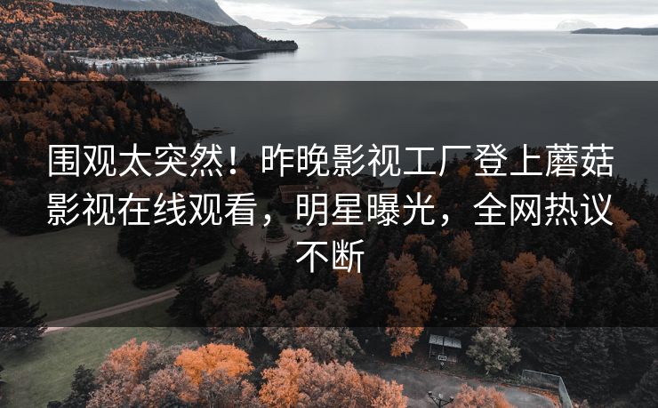 围观太突然！昨晚影视工厂登上蘑菇影视在线观看，明星曝光，全网热议不断