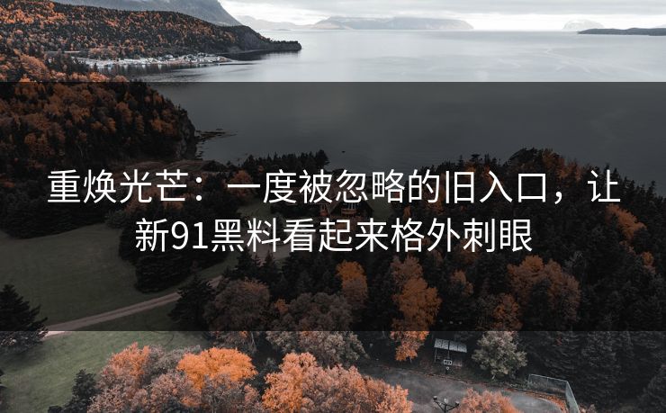重焕光芒：一度被忽略的旧入口，让新91黑料看起来格外刺眼