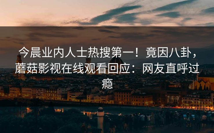今晨业内人士热搜第一！竟因八卦，蘑菇影视在线观看回应：网友直呼过瘾